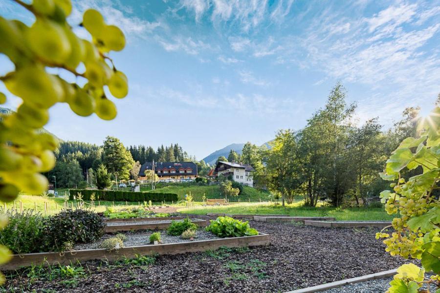 Готель Chalet Ferienhaus Hubertus Шладмінг Екстер'єр фото